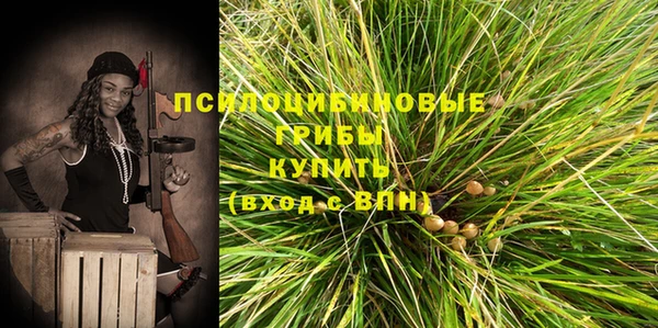 круглые Абаза