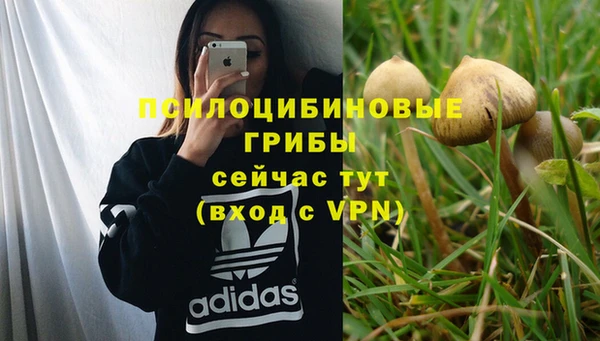 метадон Абдулино