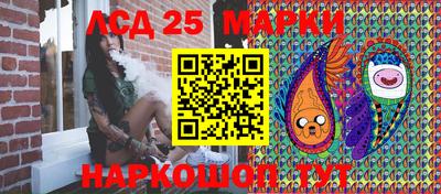 крисы Кулебаки