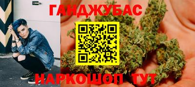 крисы Кулебаки