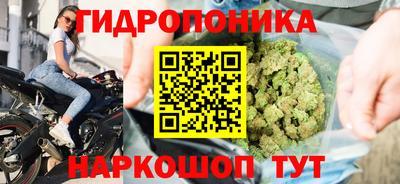 крисы Кулебаки