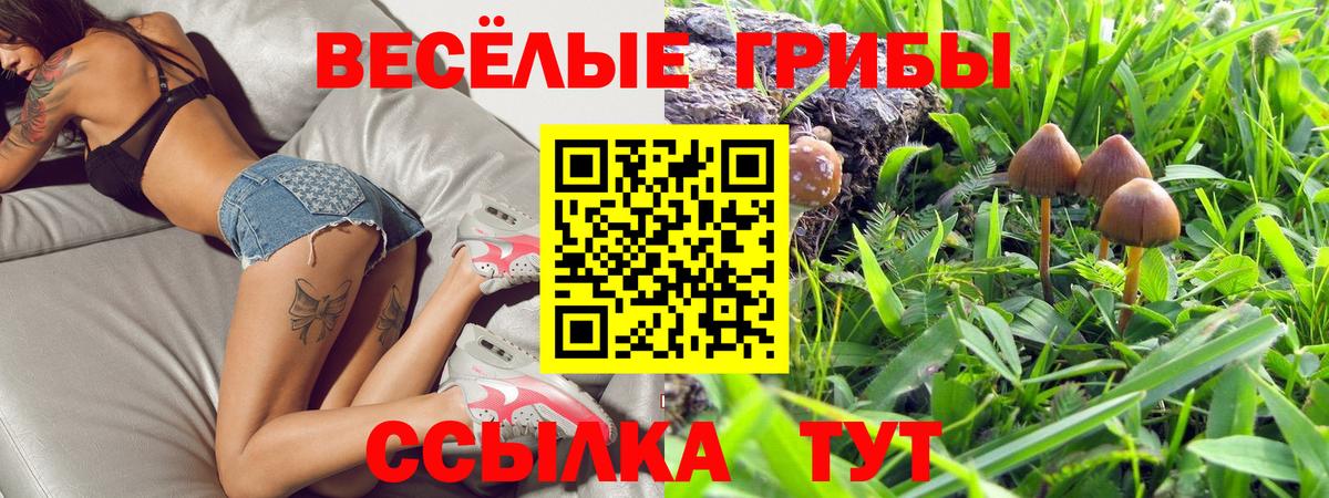 Галлюциногенные грибы мицелий Лабытнанги