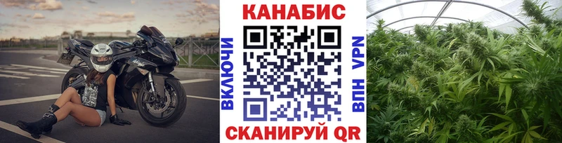 Конопля планчик Лабытнанги