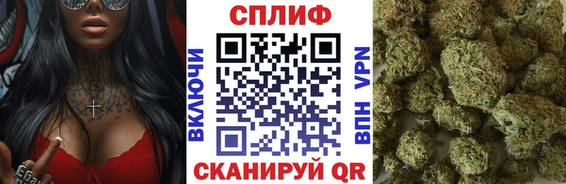 это какой сайт  Лабытнанги  Шишки марихуана план 